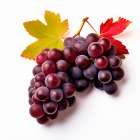 Red grapes close-up. (AI Generated) Art Print